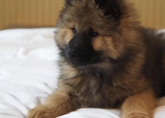 Jost Centre Szálloda 3*