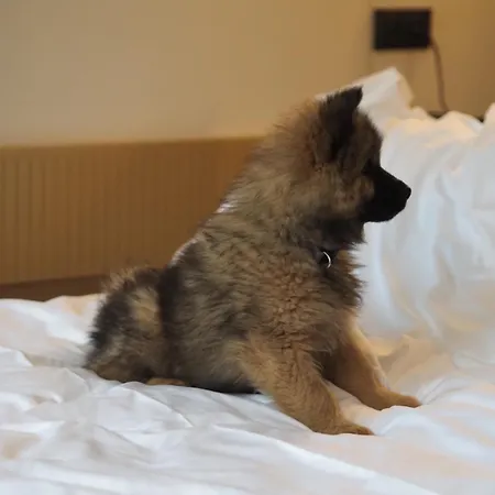 Jost Centre Hotell Lille